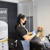 Hairdressing Professional Level 2 Apprenticeship Standard